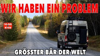 759 EIN RIESEN PROBLEM  Der größte Bär der Welt  Dometic Kühlschrank öffne dich  Polarlicht [upl. by Selimah184]