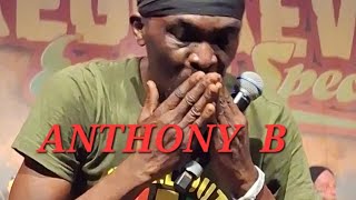 ANTHONY B  Music Mix [upl. by Akirea608]