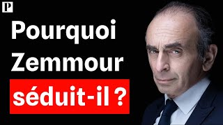 Eric Zemmour Le Grand Remplacement fantasme ou réalité [upl. by Gorden]