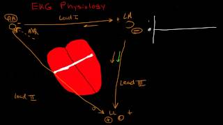 Physiology of the EKG [upl. by Jerrie]