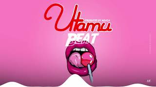 Utamu  Beat Singeli Amapiano Produced by Msaga  Instrumental Official Music Audio [upl. by Worrell]