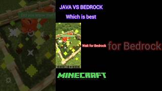 minecraft java vs bedrock differences ll java vs bedrock minecraft [upl. by Jemine]