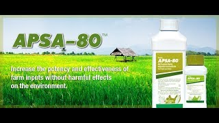 Mind Blowing Result Of Amway APSA80 Agriculture Product  In Hindi [upl. by Anuayek]