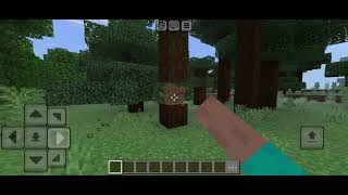 Minecraft Java edition mod 2 [upl. by Ahtoelc147]