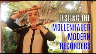 Review Mollenhauer Modern Recorders  Team Recorder [upl. by Salot]