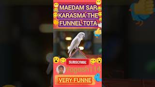 😎Madam sar😎 Karesma😁😋😂😁 the funne tota🐦🐥🕊 comedy video shorts [upl. by Paz575]