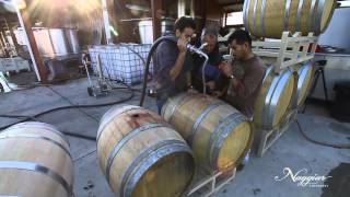 Vine to Wine Winemaking at Naggiar Vineyards [upl. by Nicholson]