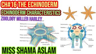 ZoologyMiller Harley Ch16 The Echinoderm Echinoderm Characteristics [upl. by Domela323]