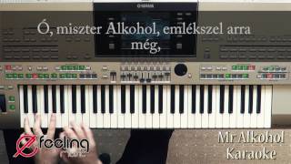 Mr Alkohol  Karaoke lyrics [upl. by Ahsinrad]