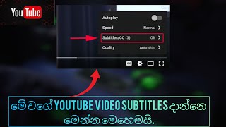 How to Get the YouTube Video Subtitles  Youtube Video Subtitles In Sinhala  Creator Studio [upl. by Nonrev]