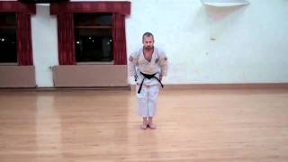 Wado Karate Pinan Nidan performed by Neil Pottinger [upl. by Inat150]