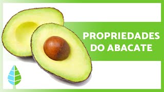 BENEFÍCIOS DO ABACATE 🥑 Propriedades como consumir e contraindicações [upl. by Mario]