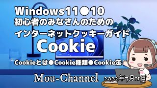 Windows11●10●初心者のみなさんのための●インターネットクッキーのガイド [upl. by Adna]