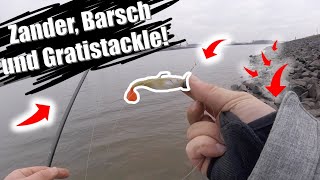 Zanderangeln und Barschangeln an der Weser  Gratis Tackle [upl. by Harli]