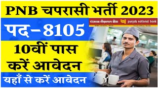 Punjab National Bank Peon Recruitment 2023How to Apply for Punjab National Bank PeonRecruitment2023 [upl. by Annaeerb]