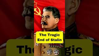 The Tragic End of Stalin ww2stories reels movie shorts fyphistory [upl. by Okiron]