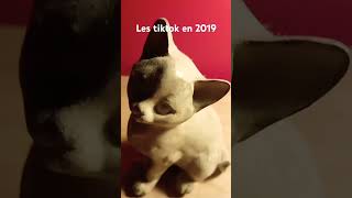 7 ème case les tiktok de 2019 [upl. by Anilorac]