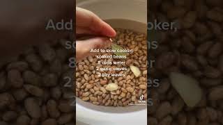 Mexican Pinto Beans Vegan  Full Recipe [upl. by Aivatra]