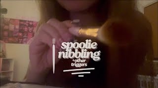 ASMR spoolie nibbling brush and acrylic nails [upl. by Nylarat]