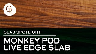 Monkey Pod Live Edge Slab [upl. by Alyahs7]