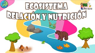 Ecosistema  Relación y Nutrición  Aula chachi  Vídeos educativos para niños [upl. by Nannek]