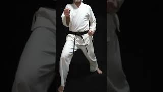 Taekwondo Spinning Back Fist [upl. by Elston]