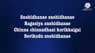 Snehithane Snehithane song lyrics song by Sadhana Sargam and Srinivas [upl. by Faubert109]