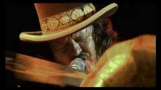 Zucchero Live In Italy  E Delicato [upl. by Cecilia]