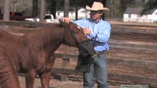 Rob Leach  Feeding with Nose Bags [upl. by Arze]