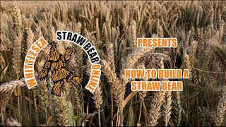 Straw Bear Online How to build a Bear [upl. by Iel]