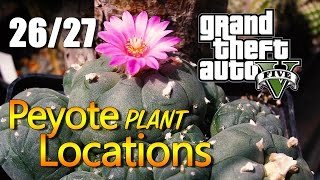 GTA V PS4 amp Xbox One  Localizacion de todas las plantas Peyote [upl. by Yentrac]