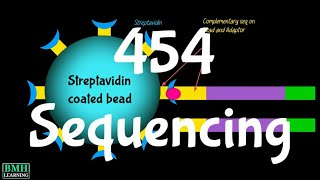 454 Sequencing  Pyrosequencing  Roche Sequencing  Roche 454 [upl. by Takakura]