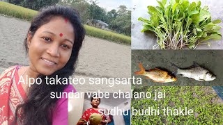 Alpo takateo sangsarta sundar vabe chalano jai sudhu aktu buddhi thakle 🙋 [upl. by Carmella]