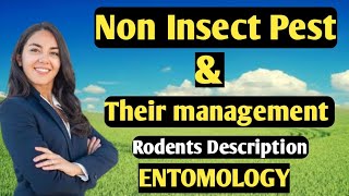 Non insect pest and their management  Entomology  BSc ag [upl. by Lletnahc]