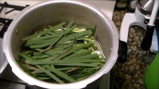 Oil Extraction from Herbs with DIY Kitchen Still [upl. by Aninat928]