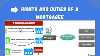 Rights and liabilities of a mortgagee  Transfer of Property Act llb mortgage hindi urdu [upl. by Orapma]