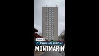 Paroles de quartiers  au cœur de la cité Montmarin à Vesoul [upl. by Enovi]