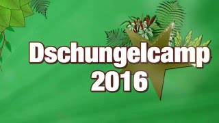 Dschungelcamp 2016 Geheime Fakten über das RTL Camp [upl. by Huckaby398]