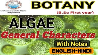 General Characteristics of AlgaeAlgae General FeaturesBSc 1st year [upl. by Alih]