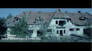 Cosy  O sami mearga struna Official Video 2013 [upl. by Kano]