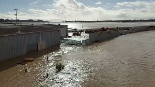 Deep Water Swamps Watsonville California [upl. by Lak]