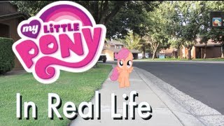 Scootaloo  My Little Pony In Real Life ᴴᴰ [upl. by Enitselec]