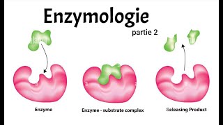 ENZYMOLOGIE PART 2  CINETIQUE  REGULATEURS  ALLOSTERIE [upl. by Gereron]