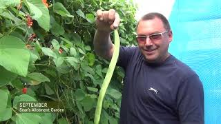 Allotment Gardening Tasks for September [upl. by Nivar]