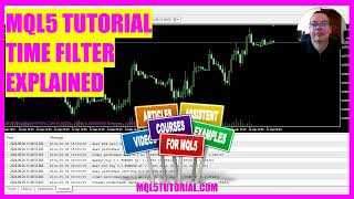 MQL5 TUTORIAL  Time Filter explained in 4 min [upl. by Elephus]