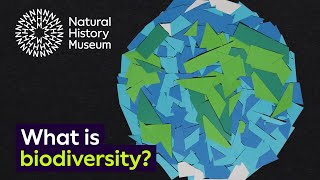 What is biodiversity [upl. by Murvyn]