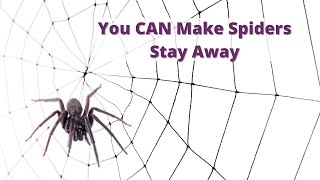 Get Rid of Spiders the Easy Way [upl. by Corwin230]