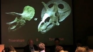 Are Torosaurus and Triceratops the same dinosaur smackdown at the Peabody [upl. by Llemar]