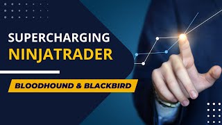 Supercharging NT8 with Bloodhound and Blackbird  Trading TechTalk 25 [upl. by Jablon]