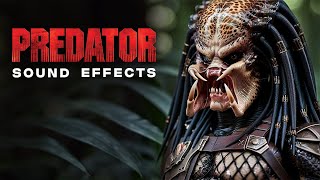 Predator Sound Effects [upl. by Eelyam]